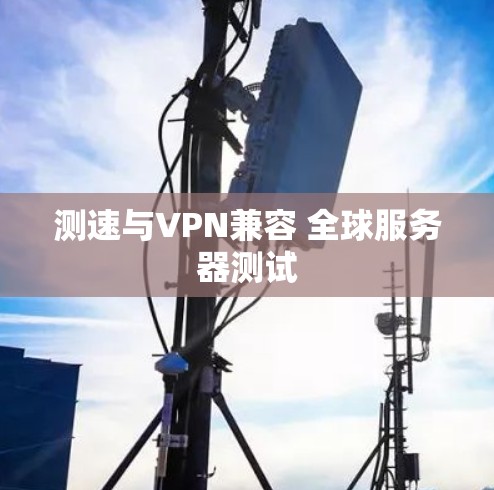 测速与VPN兼容 全球服务器测试