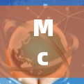 McAfee 高速VPN下载入口
