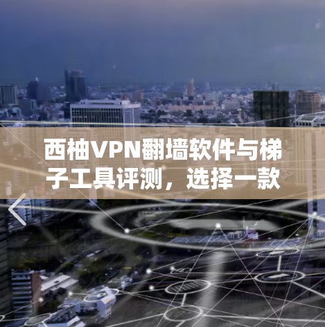 西柚VPN翻墙软件与梯子工具评测，选择一款专业级VPN的必选之路