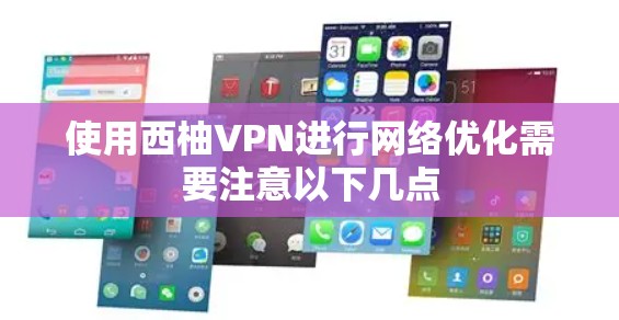 使用西柚VPN进行网络优化需要注意以下几点