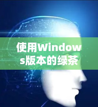 使用Windows版本的绿茶VPN电脑版（如VLC Tunnel或Windows VPN）的基本步骤如下