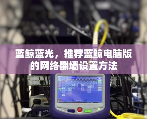 蓝鲸蓝光，推荐蓝鲸电脑版的网络翻墙设置方法