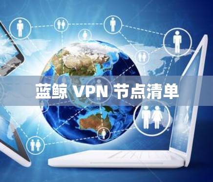 蓝鲸 VPN 节点清单