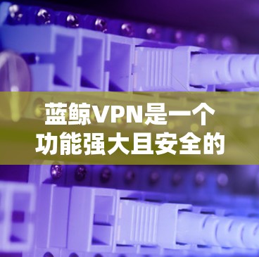 蓝鲸VPN是一个功能强大且安全的网络服务，适合个人用户进行科学上网。以下是对蓝鲸VPN的详细总结，帮助您更好地理解和使用该服务