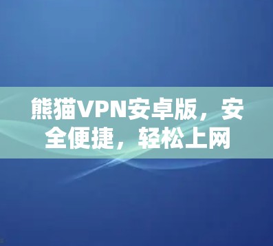 熊猫VPN安卓版，安全便捷，轻松上网全体验