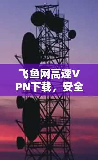 飞鱼网高速VPN下载，安全可靠，轻松应对网络挑战