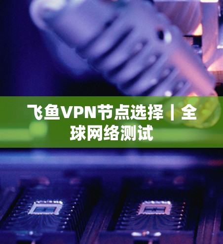 飞鱼VPN节点选择｜全球网络测试