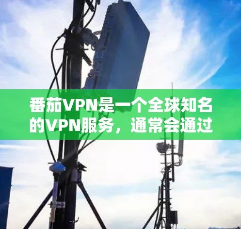 番茄VPN是一个全球知名的VPN服务，通常会通过多个节点连接到同一个IP地址，比如127.1。每个节点可能使用不同的测试工具来评估其性能。以下是几个常用的测试工具及其测试结果