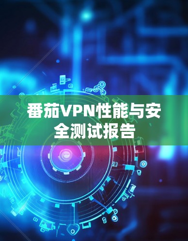 番茄VPN性能与安全测试报告