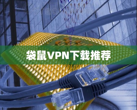袋鼠VPN下载推荐