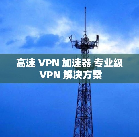 高速 VPN 加速器 专业级 VPN 解决方案
