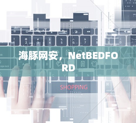 海豚网安，NetBEDFORD
