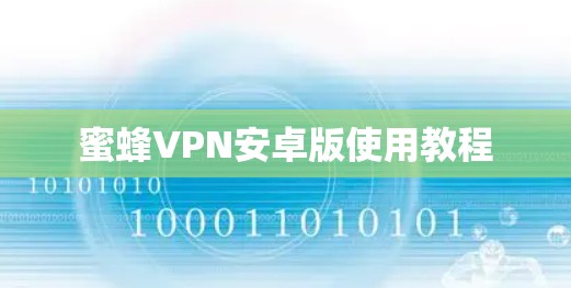 蜜蜂VPN安卓版使用教程