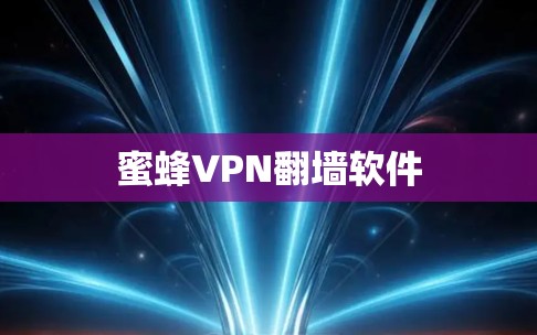 蜜蜂VPN翻墙软件