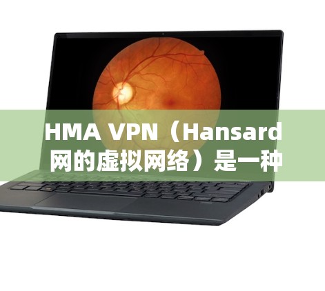 HMA VPN（Hansard 网的虚拟网络）是一种基于虚拟网络技术的VPN解决方案，旨在保护用户的数据和隐私，同时提供安全的网络连接。以下是关于 HMA VPN 的速度测试分析和稳定性测试的总结