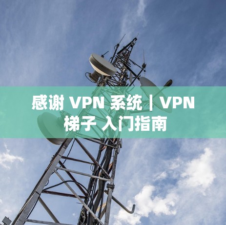 感谢 VPN 系统｜VPN 梯子 入门指南