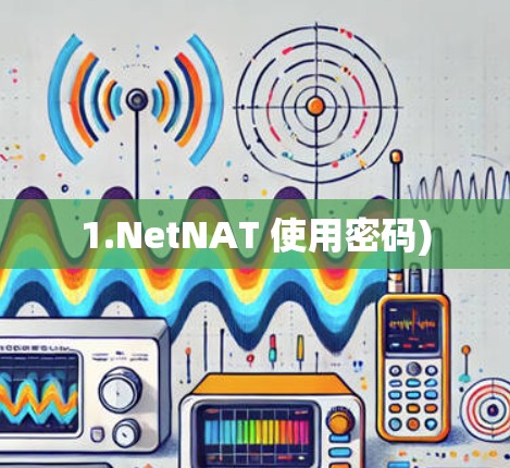 1.NetNAT 使用密码)