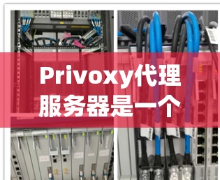 Privoxy代理服务器是一个强大的VPN解决方案工具，可以帮助用户建立、管理和优化VPN连接。以下是关于Privoxy代理服务器的详细介绍和使用技巧