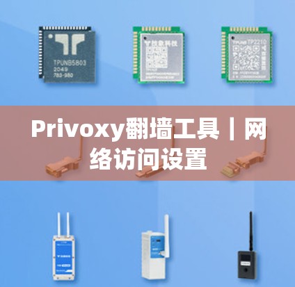 Privoxy翻墙工具｜网络访问设置