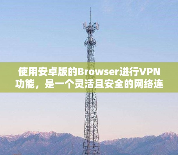 使用安卓版的Browser进行VPN功能，是一个灵活且安全的网络连接方式。以下是详细的步骤指南