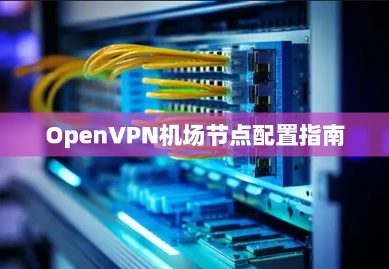 OpenVPN机场节点配置指南