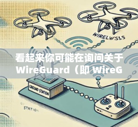 看起来你可能在询问关于WireGuard（即 WireGuard）的翻墙软件，或者关于高速梯子工具的具体用途。以下是对这两种概念的简要解释