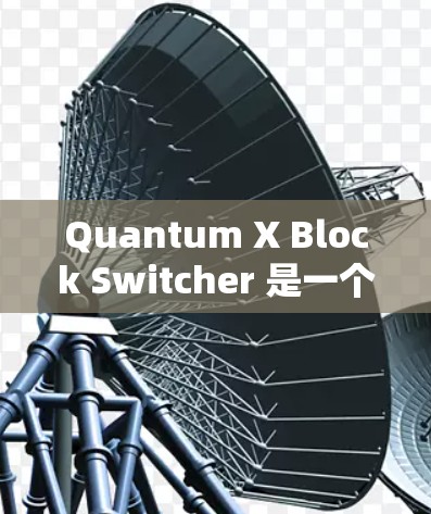 Quantum X Block Switcher 是一个用于翻墙和网络隔离的工具包，支持多种网络协议和加密功能。以下是关于该工具包的逐步说明