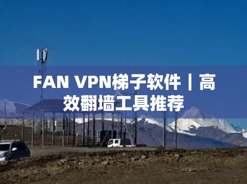 FAN VPN梯子软件｜高效翻墙工具推荐