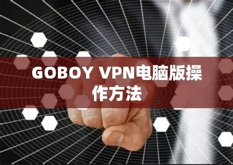 GOBOY VPN电脑版操作方法