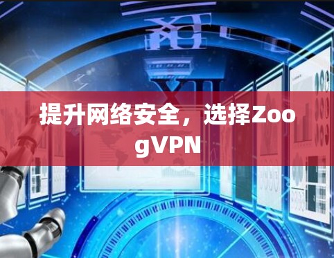 提升网络安全，选择ZoogVPN