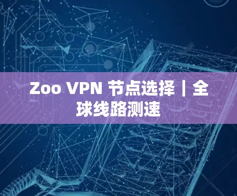 Zoo VPN 节点选择｜全球线路测速