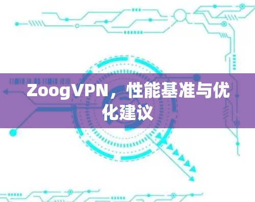 ZoogVPN，性能基准与优化建议