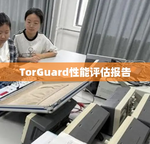 TorGuard性能评估报告