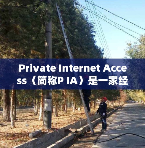 Private Internet Access（简称P IA）是一家经典的VPN软件，提供了一个快速和安全的VPN连接体验。它支持多国和多个语言，适合喜欢简洁和快速连接的用户