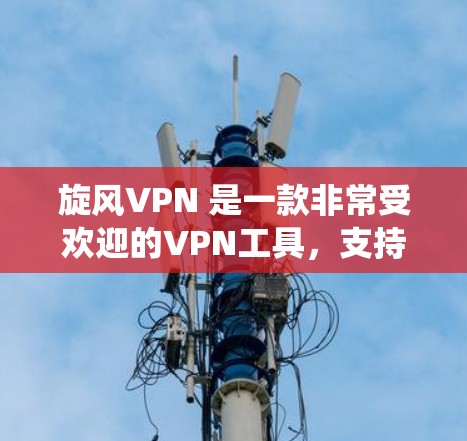 旋风VPN 是一款非常受欢迎的VPN工具，支持iOS 和 Windows 系统。以下是旋风VPN在 iOS 系统上的使用指南