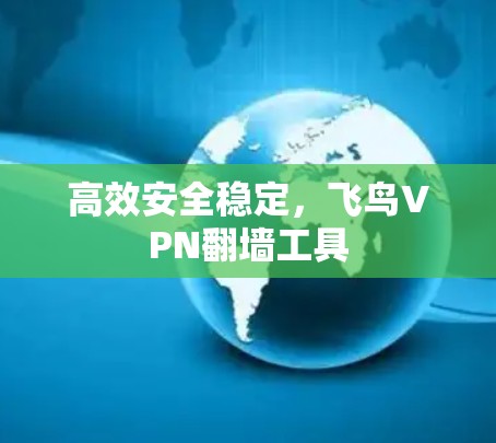 高效安全稳定，飞鸟VPN翻墙工具