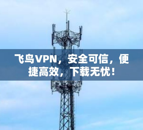 飞鸟VPN，安全可信，便捷高效，下载无忧！
