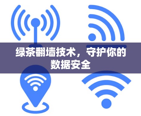 绿茶翻墙技术，守护你的数据安全
