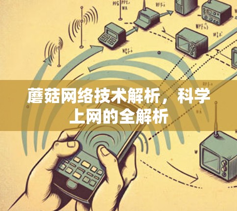 蘑菇网络技术解析，科学上网的全解析