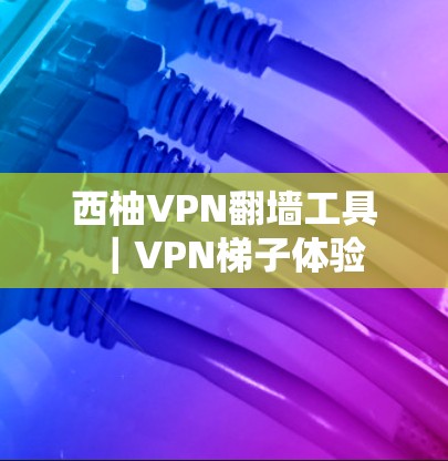西柚VPN翻墙工具｜VPN梯子体验