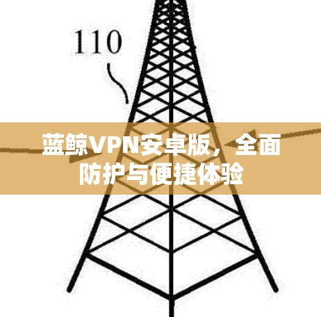 蓝鲸VPN安卓版，全面防护与便捷体验