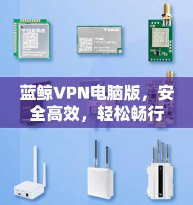 蓝鲸VPN电脑版，安全高效，轻松畅行