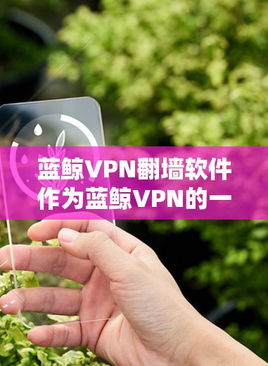蓝鲸VPN翻墙软件作为蓝鲸VPN的一部分，提供了一种通过翻墙访问国际资源的便捷方式。以下是对该软件的详细分析和总结