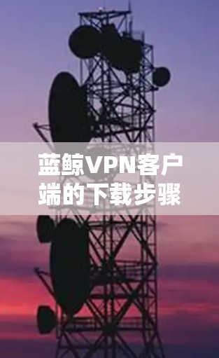 蓝鲸VPN客户端的下载步骤如下
