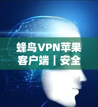 蜂鸟VPN苹果客户端｜安全可靠，轻松连接