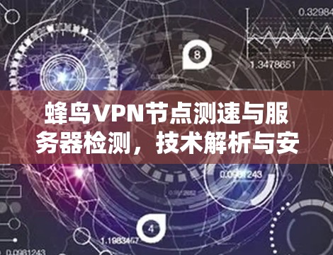 蜂鸟VPN节点测速与服务器检测，技术解析与安全防护