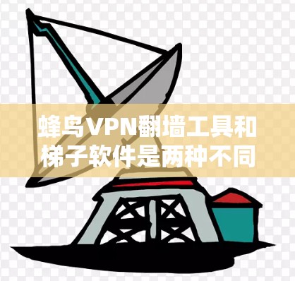 蜂鸟VPN翻墙工具和梯子软件是两种不同的网络访问管理工具，它们在功能和用途上有所不同。以下是它们的区别和比较