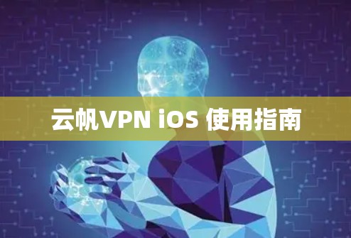 云帆VPN iOS 使用指南