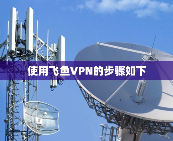 使用飞鱼VPN的步骤如下