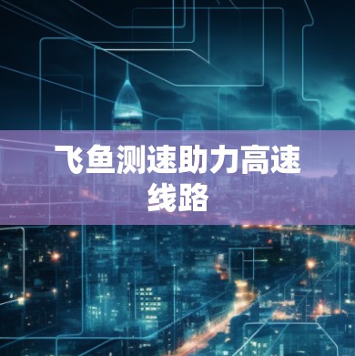 飞鱼测速助力高速线路